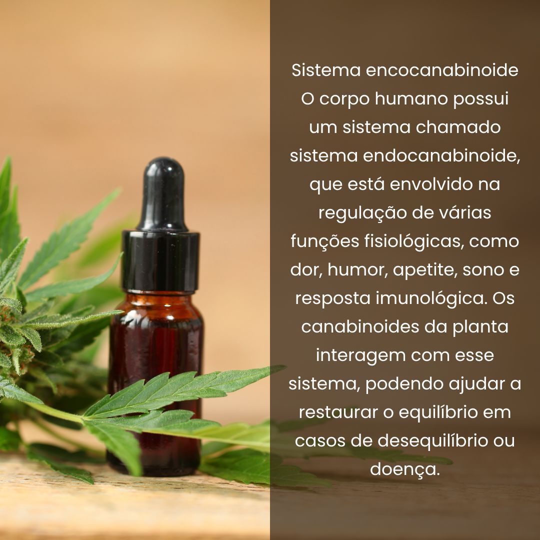 Foto do consultório de Dra. Larissa Pereira Melhorança